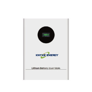 300Ah 25.6V (Portable Storage Battery)
