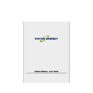 100Ah 25.6V (Portable Storage Battery)