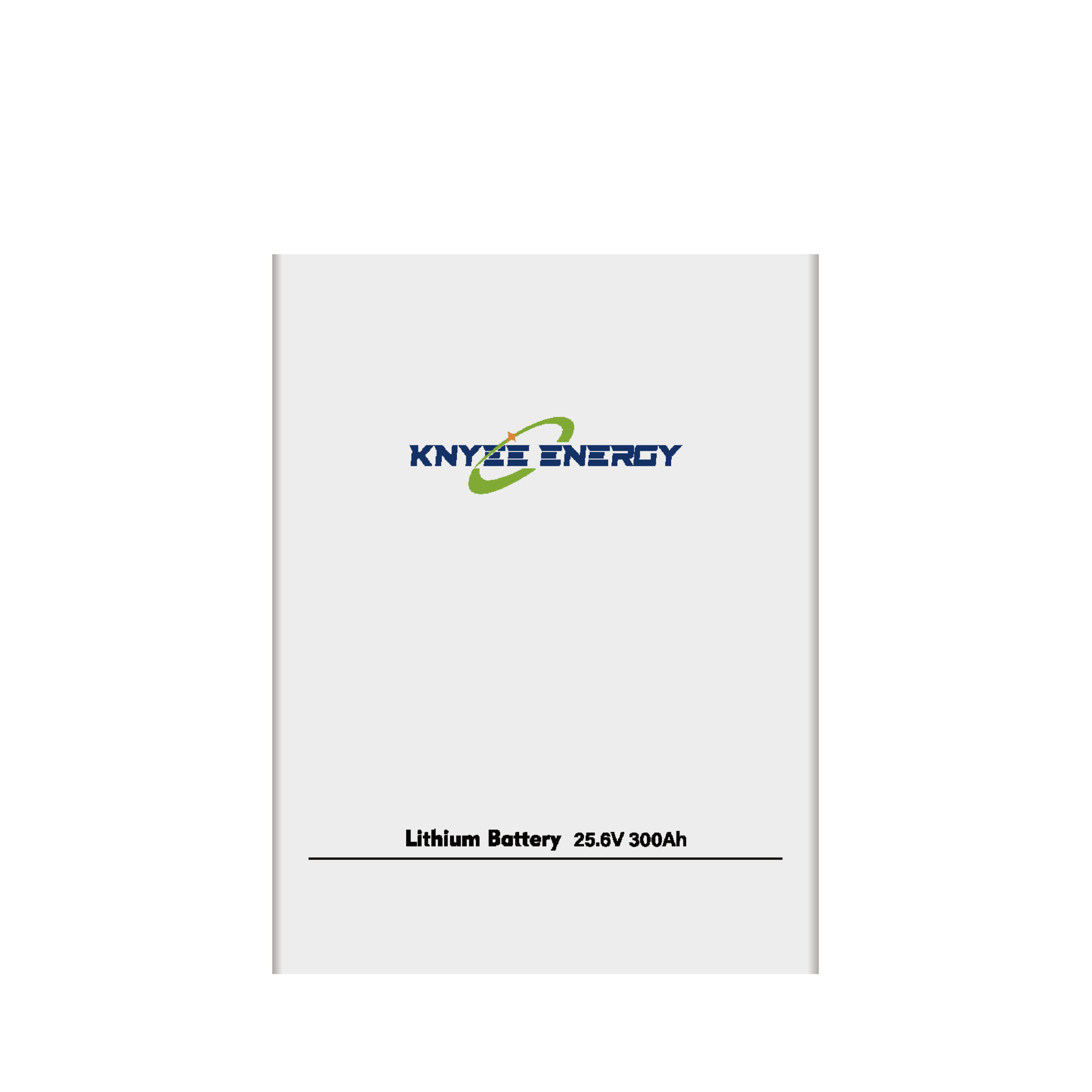 100Ah 25.6V (Portable Storage Battery)